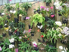 301 Longwood Gardens [2008 August 23]